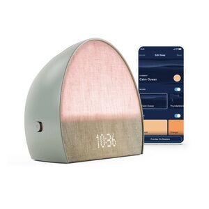 Hatch Restore 2 Sunrise Alarm Clock Sound Machine Smart Light – Slate